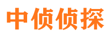 柳北市婚外情调查